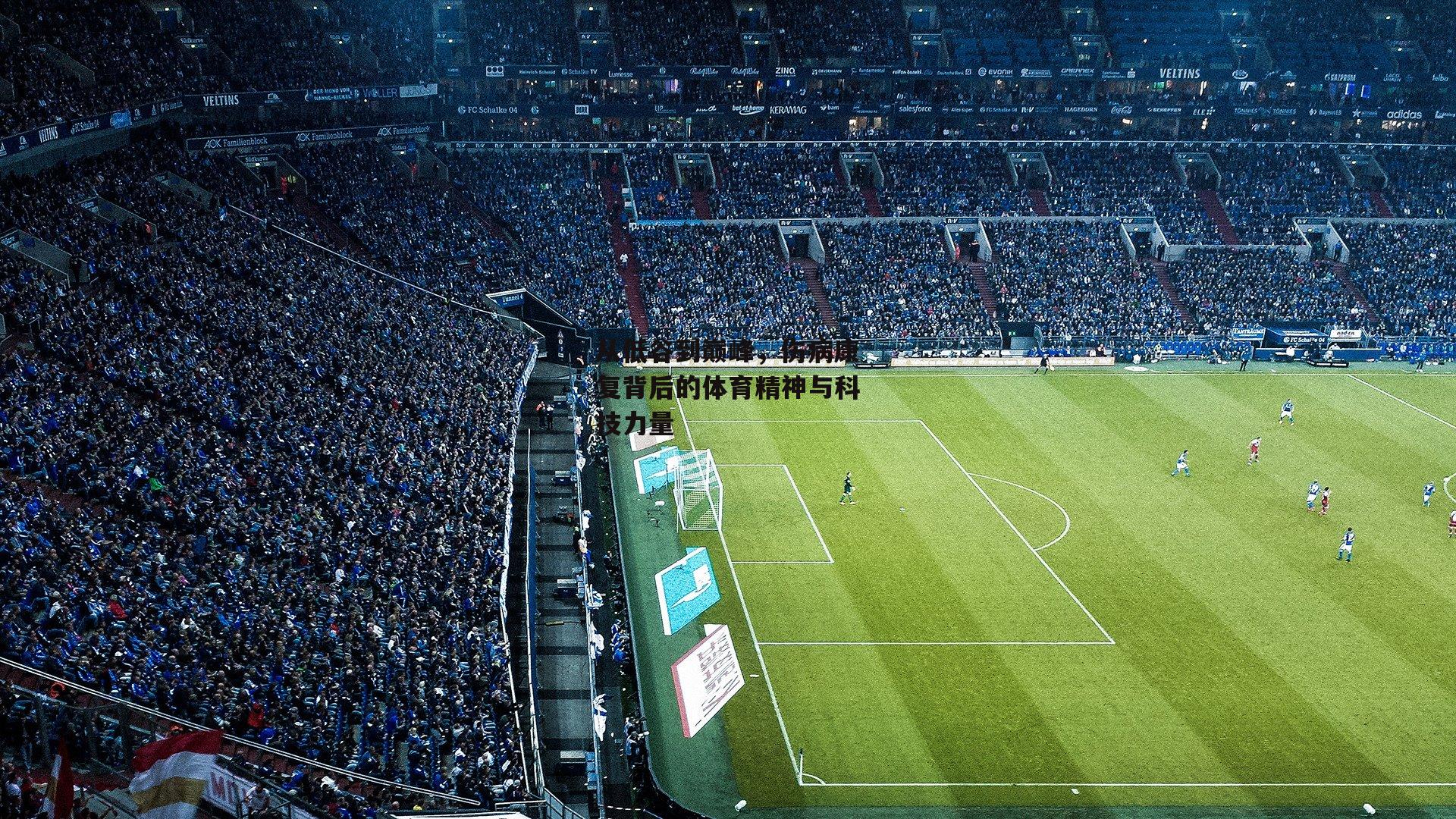 从低谷到巅峰，伤病康复背后的体育精神与科技力量