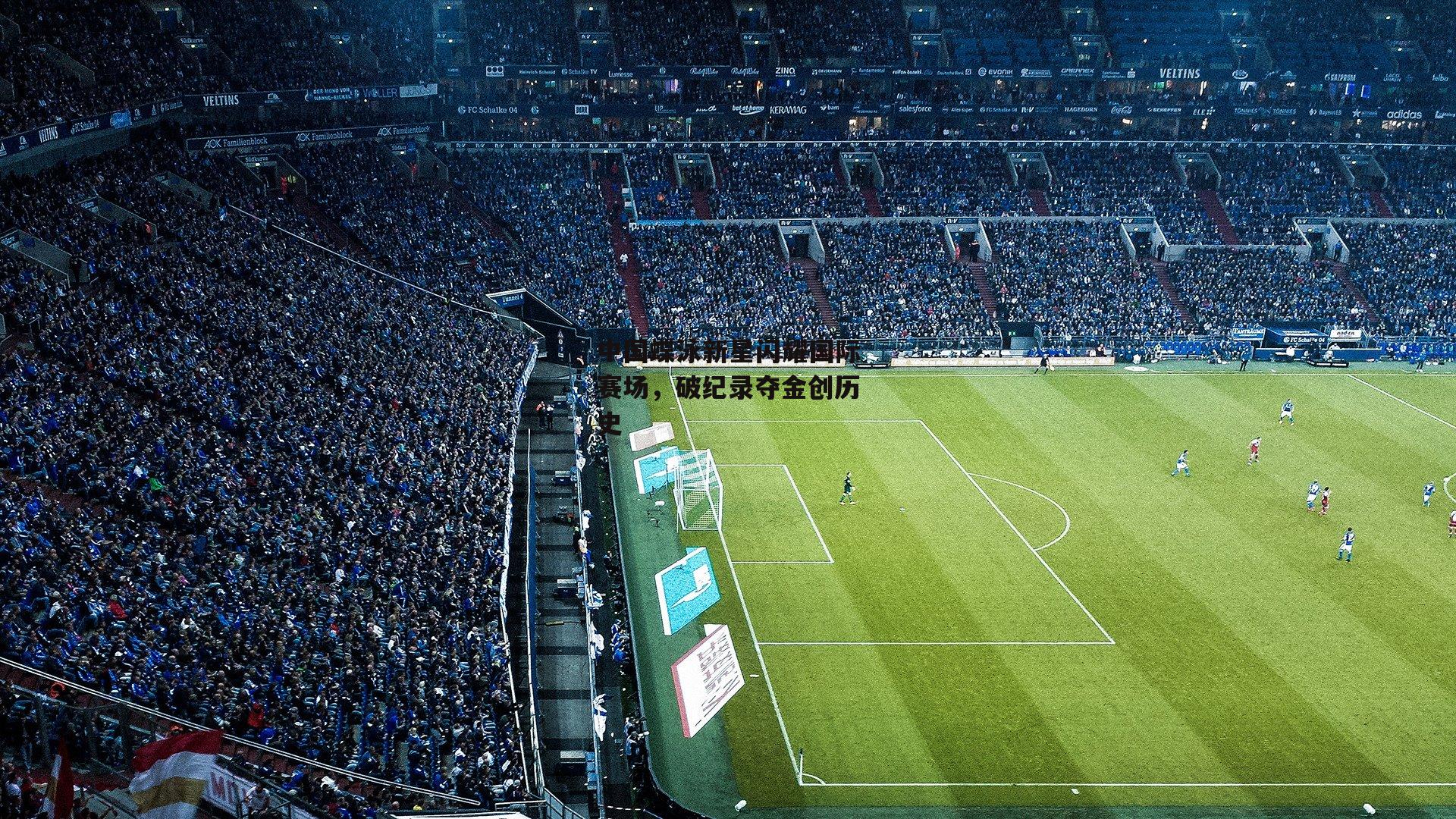 中国蝶泳新星闪耀国际赛场，破纪录夺金创历史|B体育